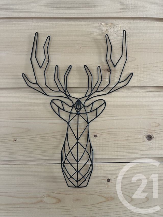 Appartement F3 à vendre - 3 pièces - 51.74 m2 - CAUTERETS - 65 - MIDI-PYRENEES - Century 21 L'Immobilière Des Gaves