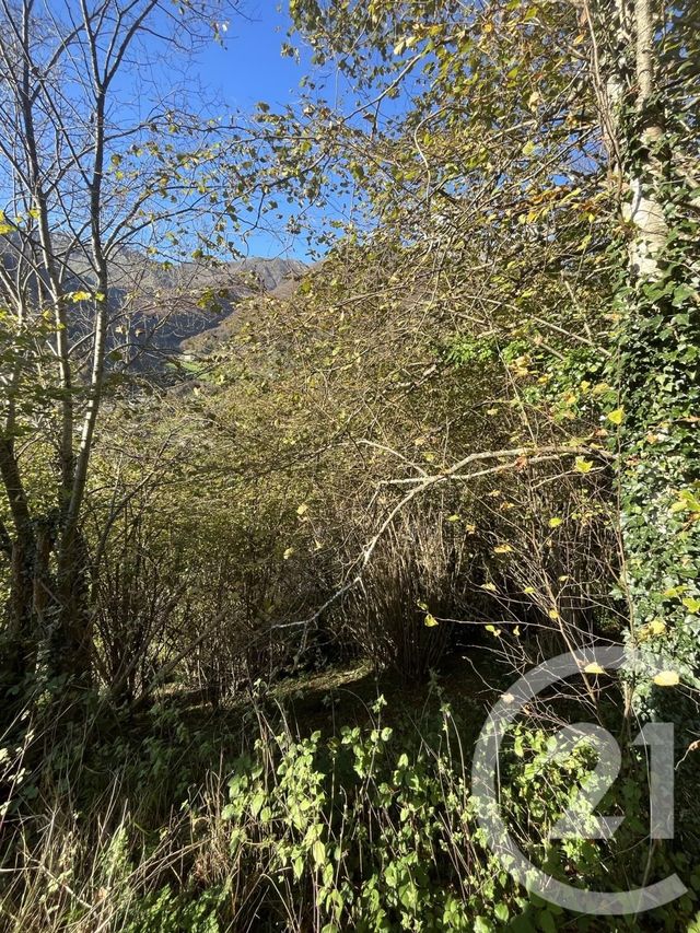terrain à vendre - 706.0 m2 - CAUTERETS - 65 - MIDI-PYRENEES - Century 21 L'Immobilière Des Gaves